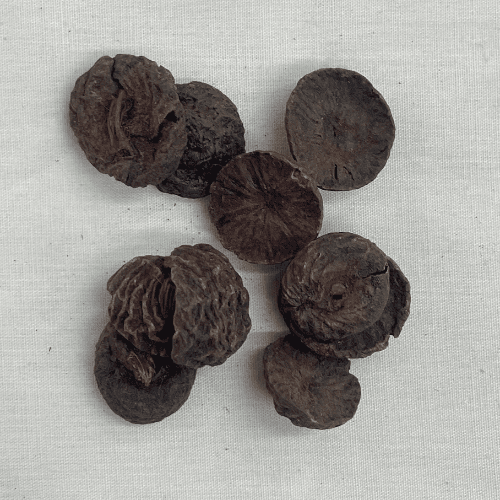 Pack of 10 Black Beetlenut